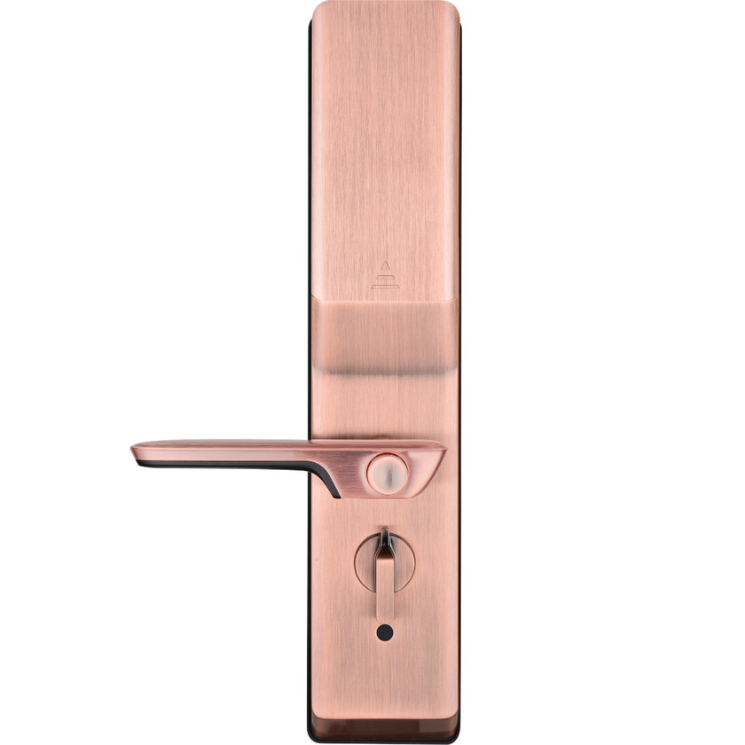 Buy Iconic Digital Door Lock Online | Häfele India